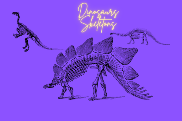 Dinosaur Skeletons: Graphics & Illustrations