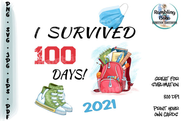 I Survived 100 Days: Graphics and Illustrations Review