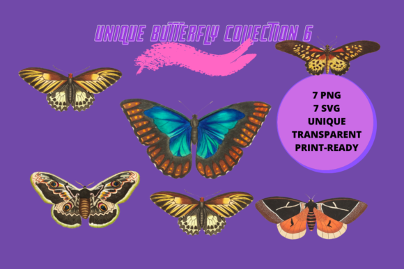 Unique Butterfly & Moth Graphics Review