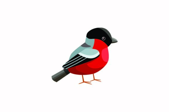 Wild Bird - Bullfinch: A Designer’s Review